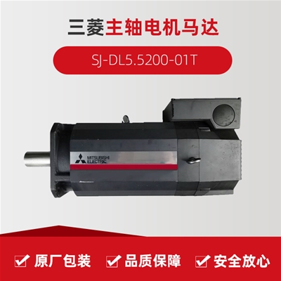 SJ-DL5.5200-01T